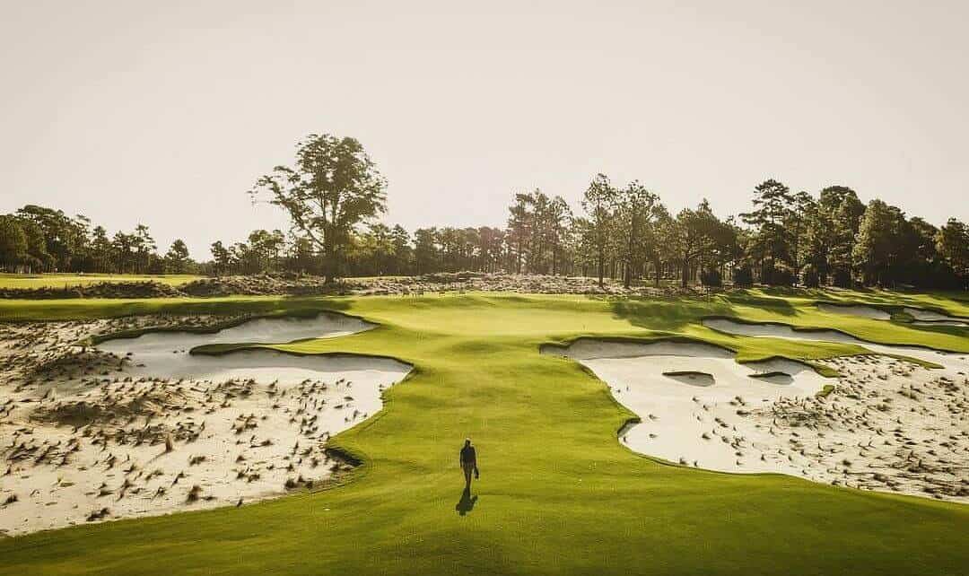 Pinehurst course green and dunes