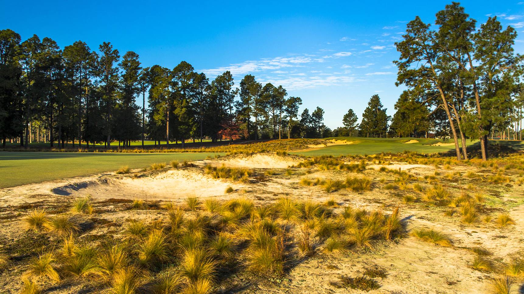Pinehurst No. 2