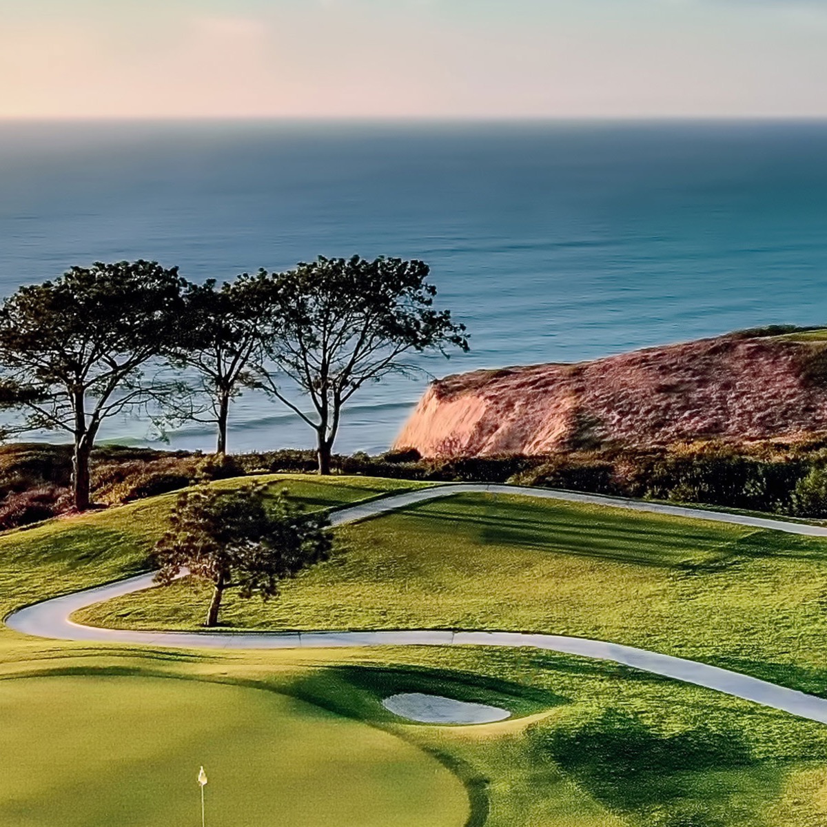 Torrey Pines North
